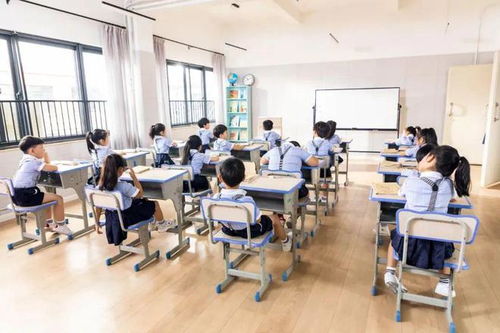 瀘州市關于放假安排及煙花爆竹禁放區域的公告